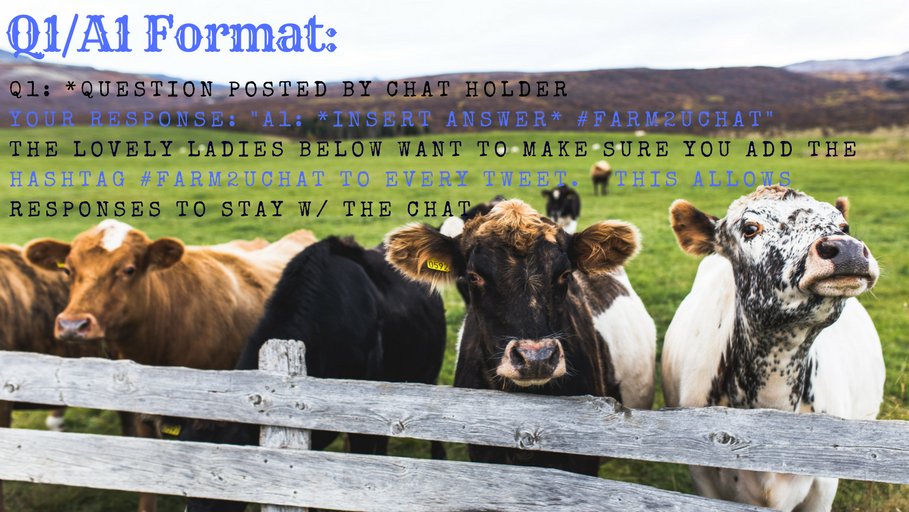Merril58's tweet photo. Hello, &amp; thank u for joining me to bridge the gap between farmers &amp; consumers. Please use Q1/A1 format &amp; add #Farm2UChat in ALL tweets! Most importantly, talk to each other! This chat is to build contacts and help each other learn.  If u can answer some1 question, help them! https://t.co/09z4rw9CsW