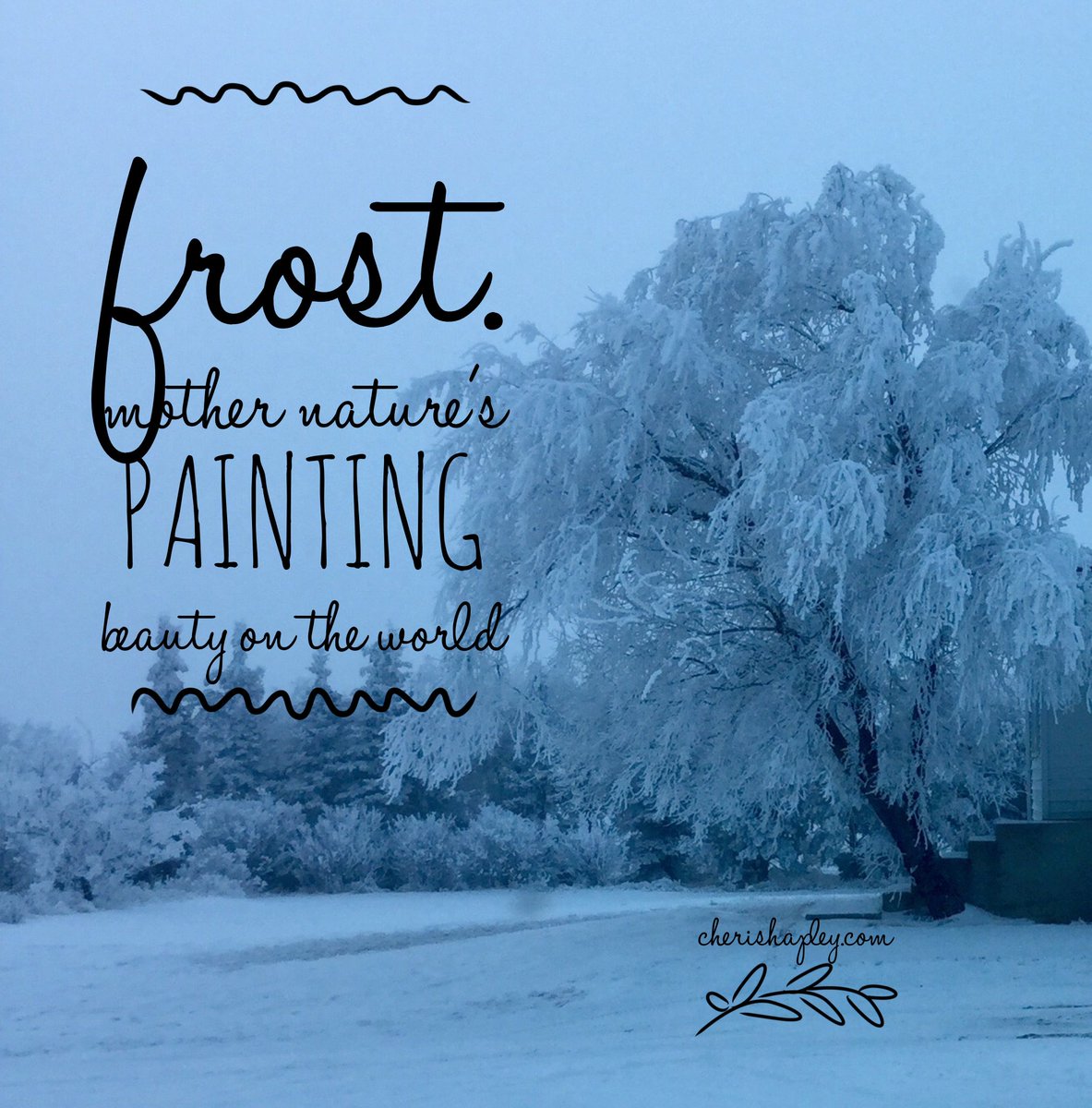 cheri_shapley's tweet photo. Frost.  Mother nature's Painting beauty on the world.
==> https://t.co/bF8GEsZkpD https://t.co/yAd8w0c2Jc