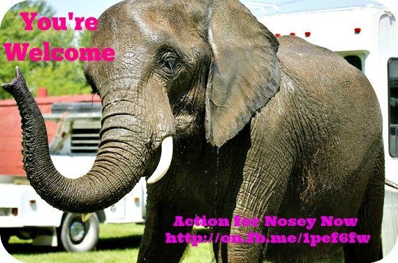 @lisasyoga <a href="/WorldElephants/">SnowCop</a> <a href="/StevenHand/">Steve Hand</a> <a href="/Shastina_Eloff/">Shastina Sandman</a> <a href="/BrianDEvans/">Brian D. Evans</a> No worries xx
