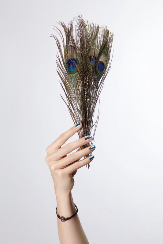 charlenerose3's tweet image. Peacocking... 

#handmodel #handmodeling #peacocking #beautifulhands #feathers 📷 @photonathalie @closeupmodelsagency