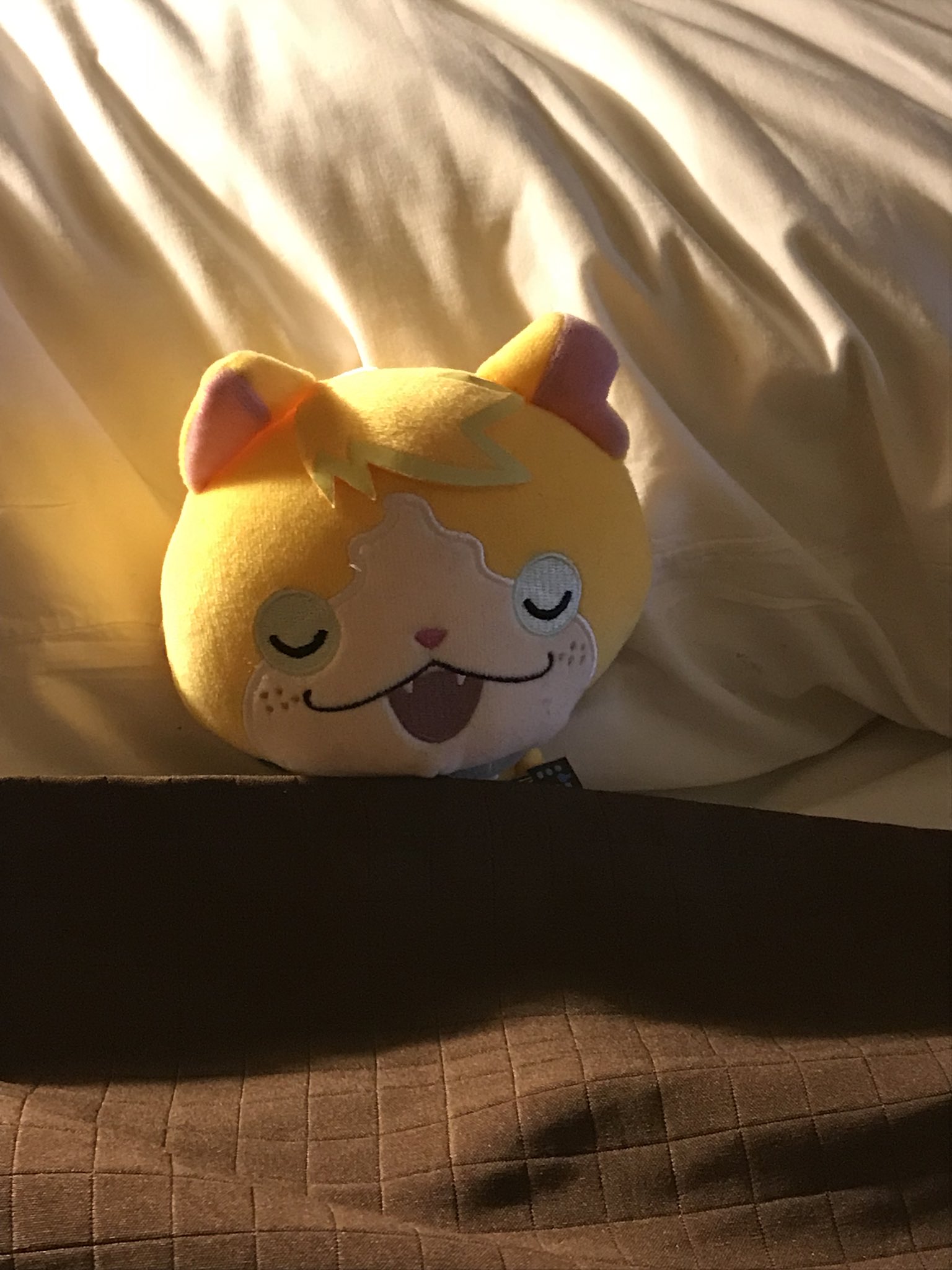 Tomnyan plush 2025