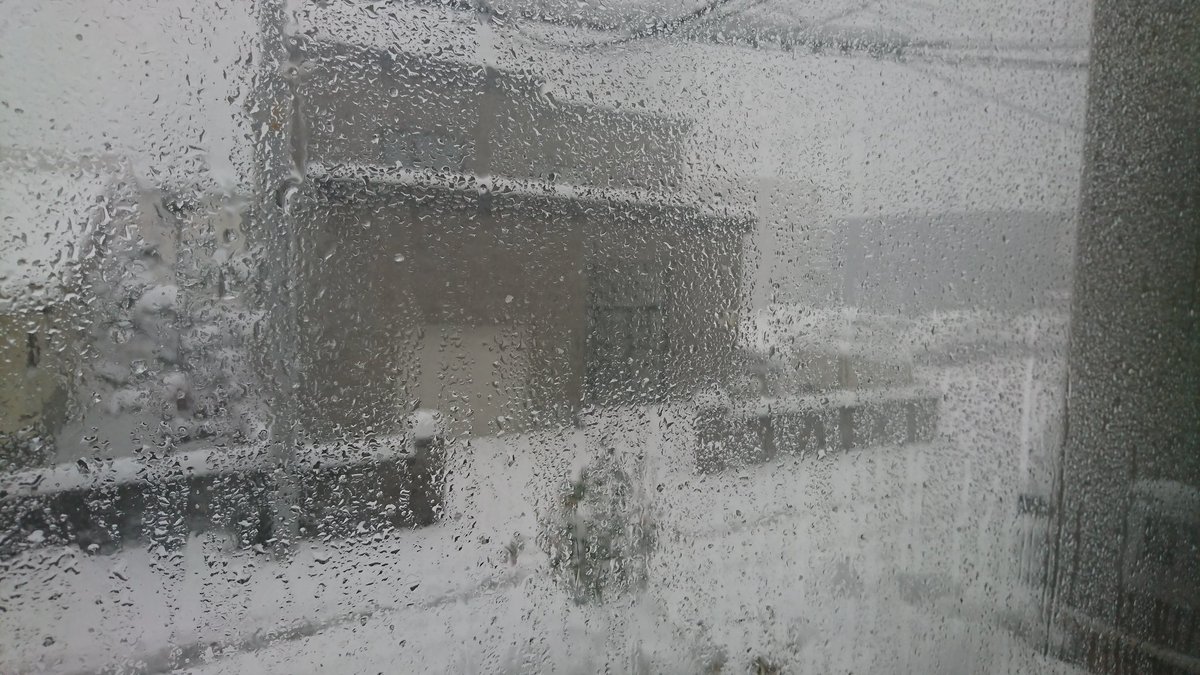 y_collection's tweet photo. なんとー吹雪いてる‼️
窓には雪がこびりつき、いきなり真冬の状態‼️(笑)
今日からまじ冬‼️(笑)

#ギャラリー黒豆 #yenclay #uyuto #creativeclay #polymerclay 

https://t.co/DfPViEAECX https://t.co/BbFaRZsErh