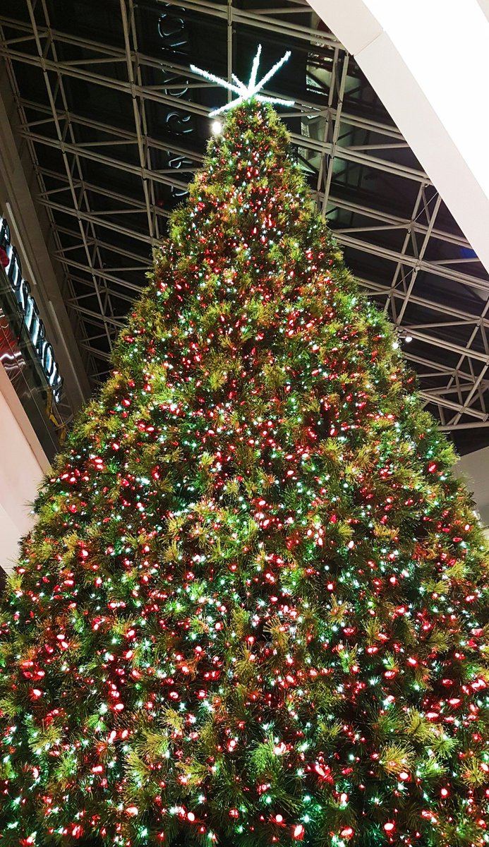 MelinaKokkinos's tweet photo. Tis the season for @CFRideauCentre's amazing #holiday decor! 🎶 It's beginning to look a lot like Christmas 🎶 #CFHolidayMagic #HappyHolidays https://t.co/UI3vWuWPat