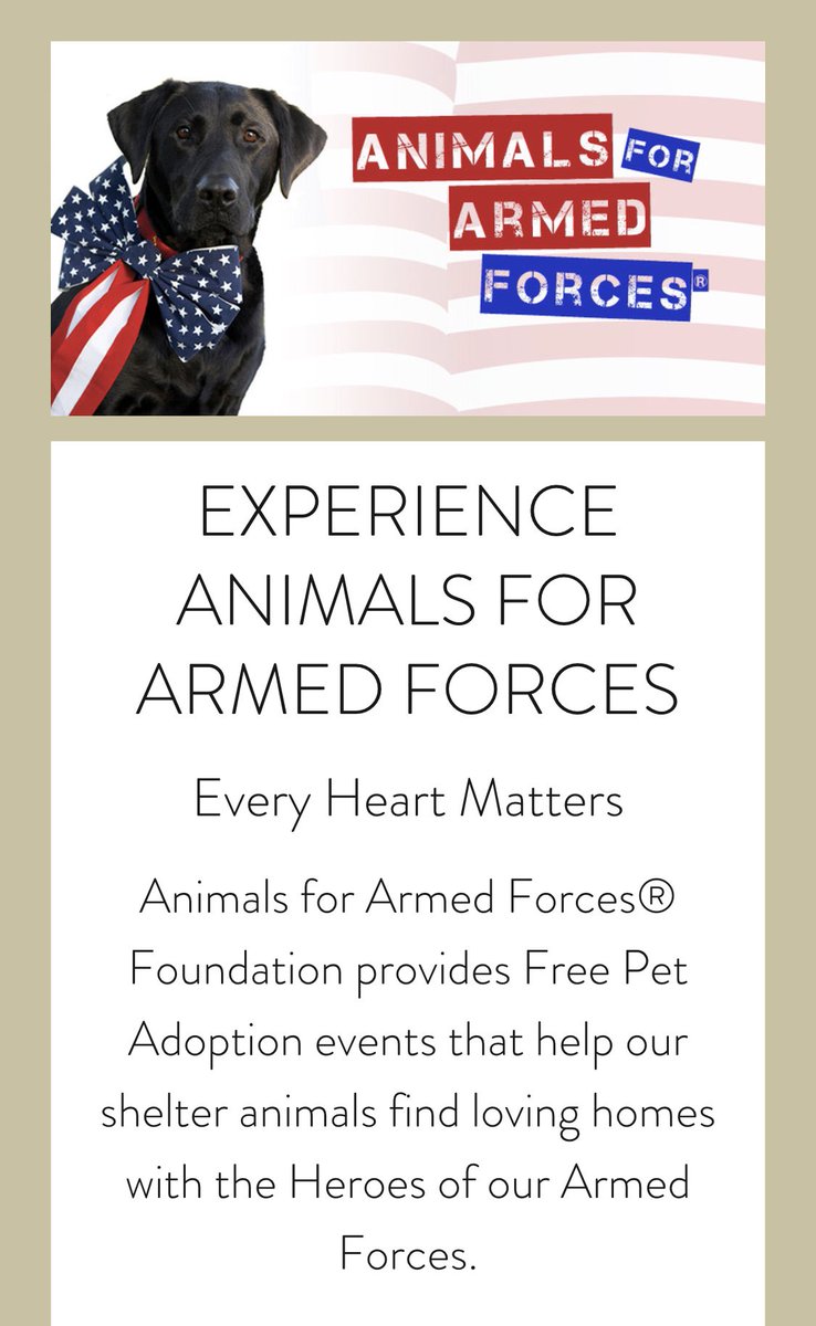 Anim4ArmdForces's tweet photo. We launched our new website. Check it out! https://t.co/ByBG51xDF8 https://t.co/Ng281yJM10