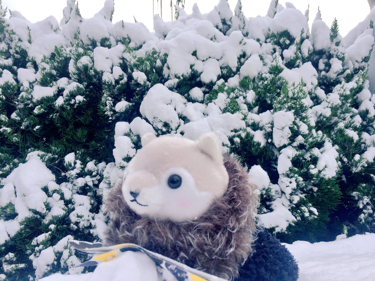 冬来たる Hashtag On Twitter