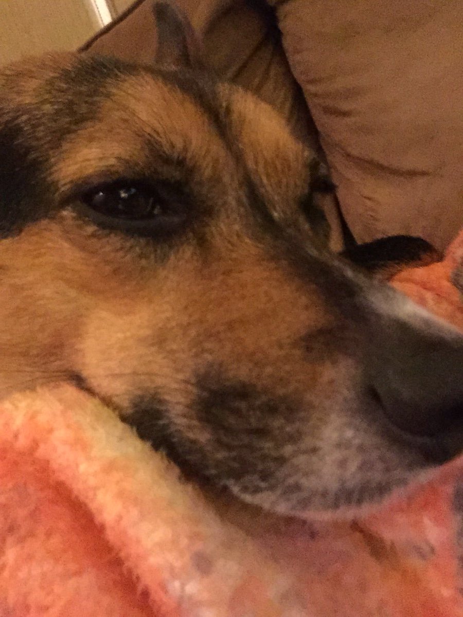 emongrella's tweet photo. The baby girl is all ready! #LivePD #livepdnation #livepd @OfficialLivePD @danabrams @TomMorrisJr1 @Sean_C_Larkin https://t.co/1LzuCxulyj