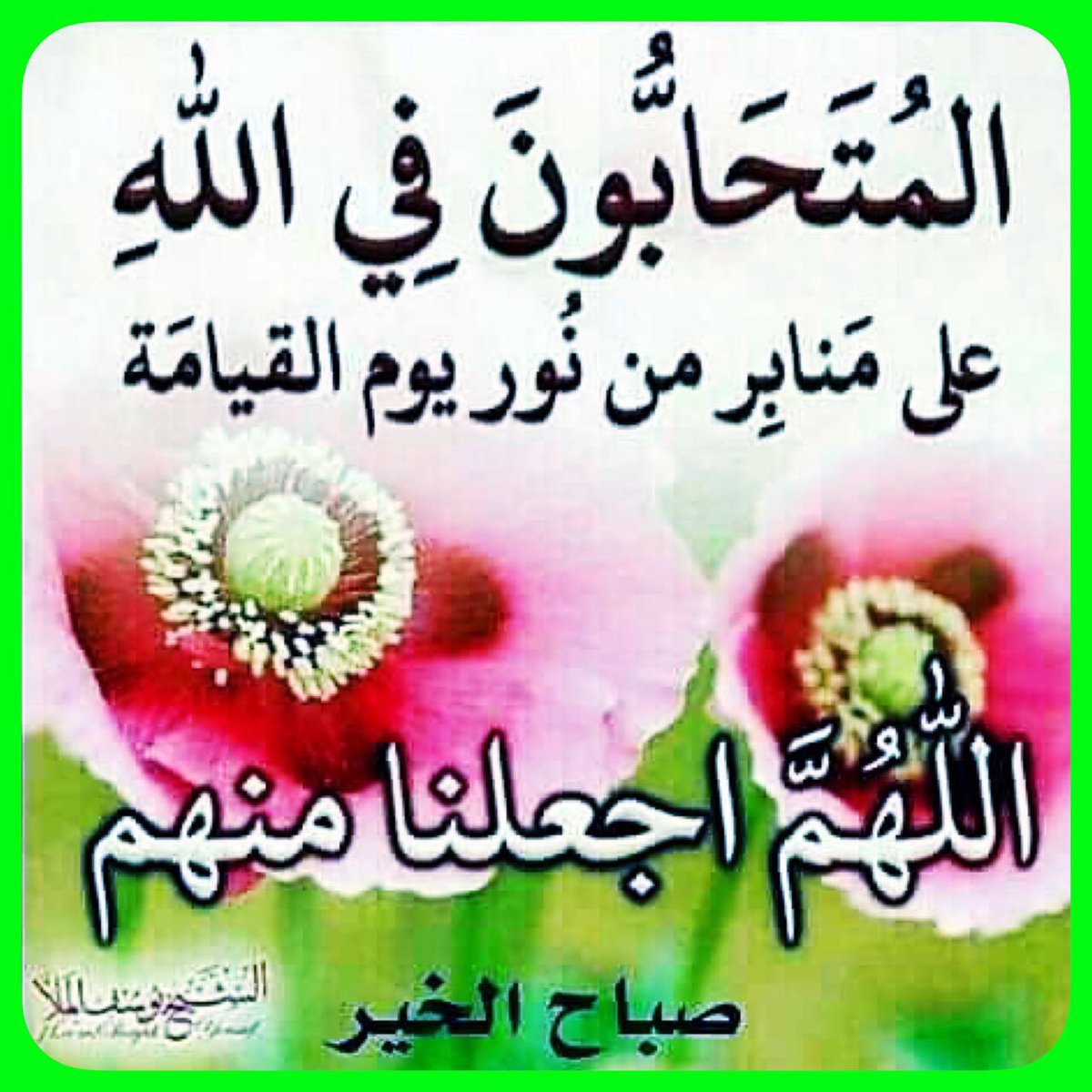 منصور ال صنقر (@mnsor52528) on Twitter photo 