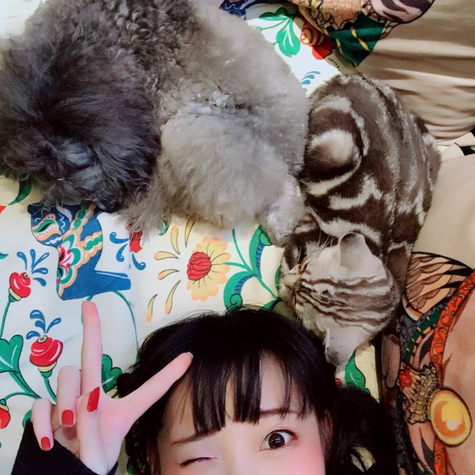 コスプレイヤー焖焖碳-のTwitter画像17