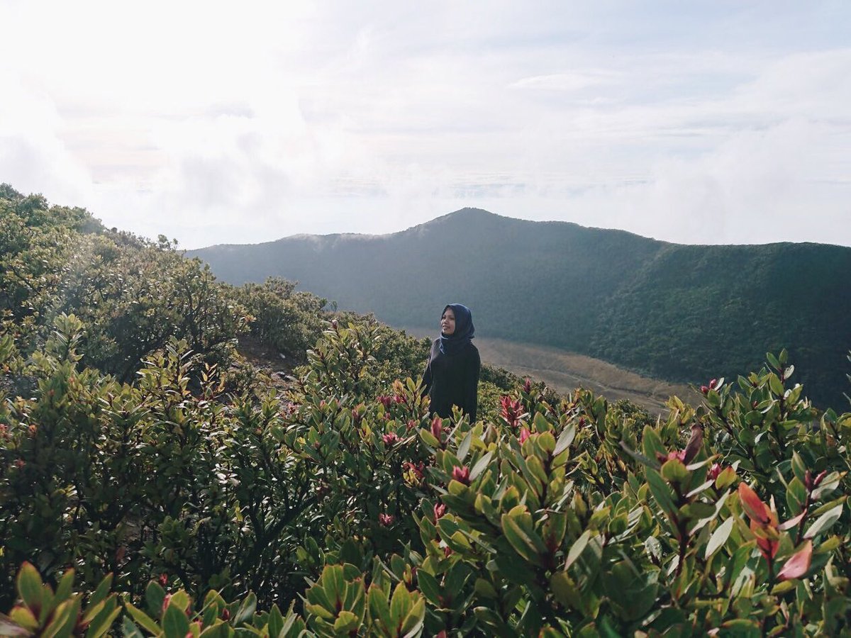 Iinhidayah93's tweet photo. Puas itu saat lo berhasil ngalahin ragu lo, jd morning person demi sunrise puncak gunung gede @WeekendList_NET #CaptureLikeAPro #WeekendExplorewithJ7Plus_NET https://t.co/agbYyHdSHU