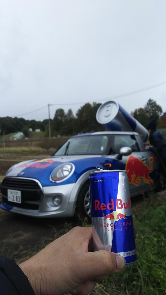 本田えんじん 仮 On Twitter ホテル前でお姉ちゃんがレッドブル配ってる 岐阜基地 岐阜基地祭