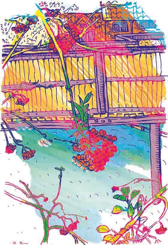 BethMorafon's tweet photo. #RowanAndCuratorsCottage, 2015 original in black and white #LineArt, now available for 2017 in #Colour ©Beth Môrafon #Art #WinterDrawingWindow #MorafonStudios https://t.co/lvePV3C3wp