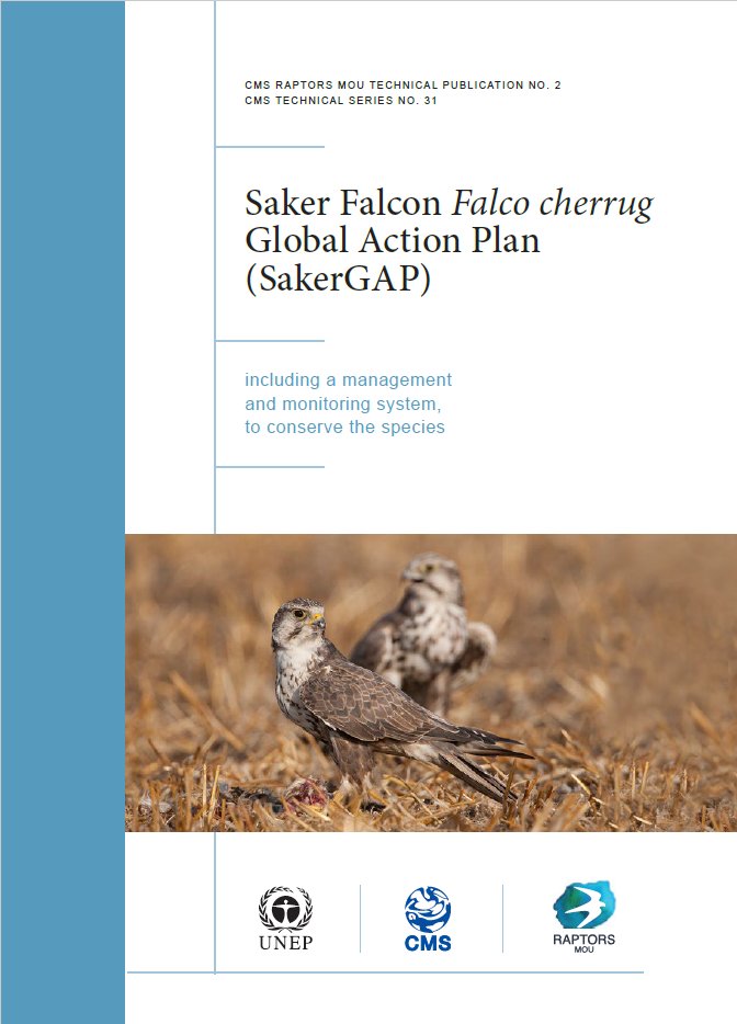 TheFalconBirder's tweet photo. Preparing to host Telecom with two newly-recruited consultants to drive forward implementation of Saker Falcon Global Action Plan #SakerGAP๐ https://t.co/vZDBPVWbtz
