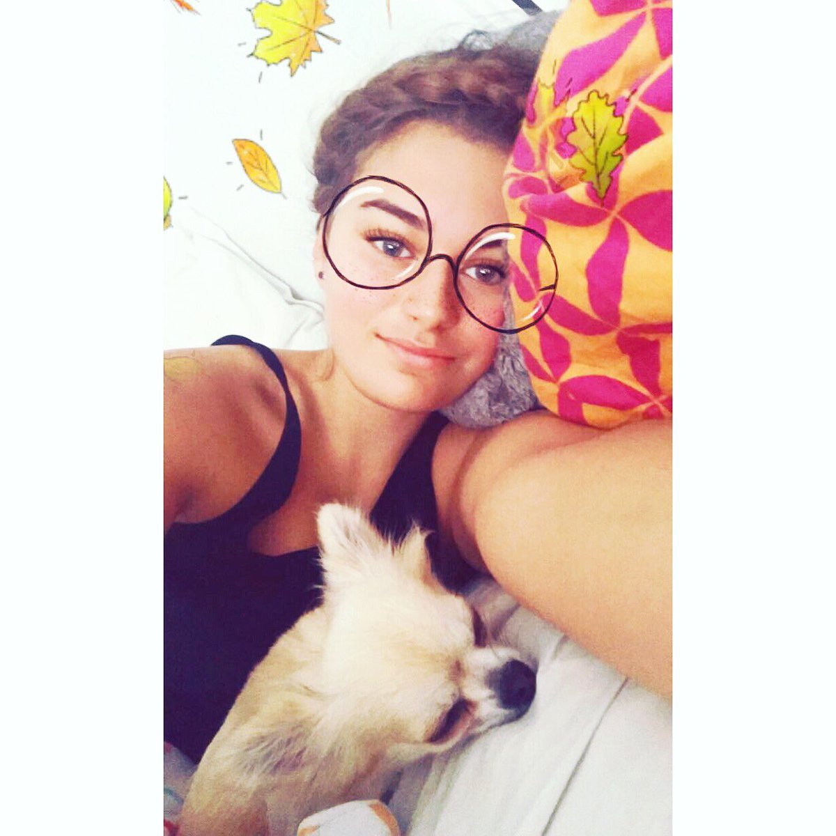 SaraCHolm's tweet photo. Thise kinda mornings🍁 #goodmorning #thisone #Elton #chihuahua #snuggles #weekend #saturdaymorning #smile #selfie #autumn #FirstTweet https://t.co/t4ExrOx4Vb