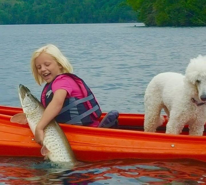 10000thcast's tweet photo. #HOLYCRAP #shocking #fishing #musky #kidfisherman #worldrecord #fishingtale #Muskie #do... https://t.co/r7tQukodsk https://t.co/xhIMI1m8gH