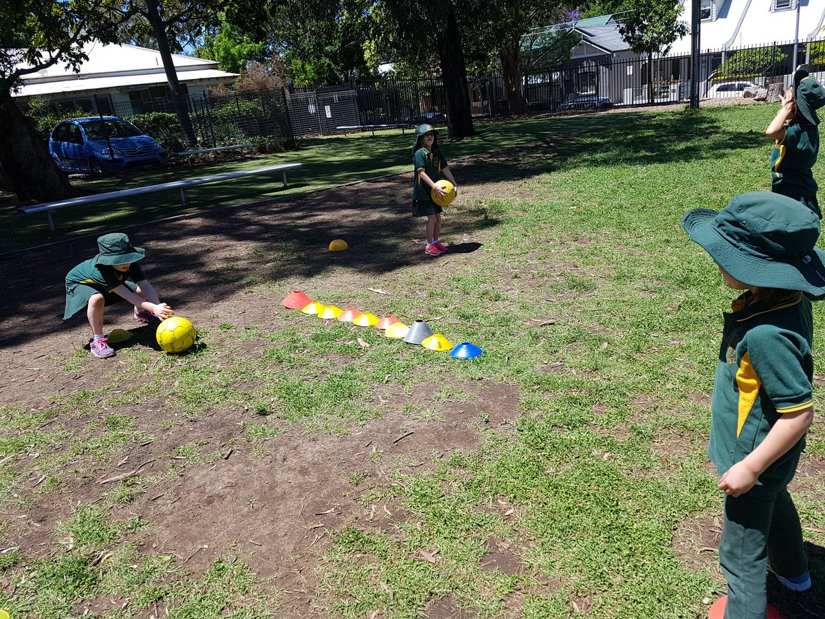KoalaCPS's tweet photo. Trying again and again #persistence #bounce #throw #hulahoops  @dingoesCPS https://t.co/zCTq0fRrAz