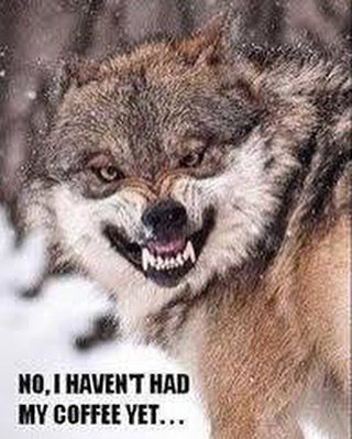 Why do you ask? 😂 ift.tt/2iACvwQ