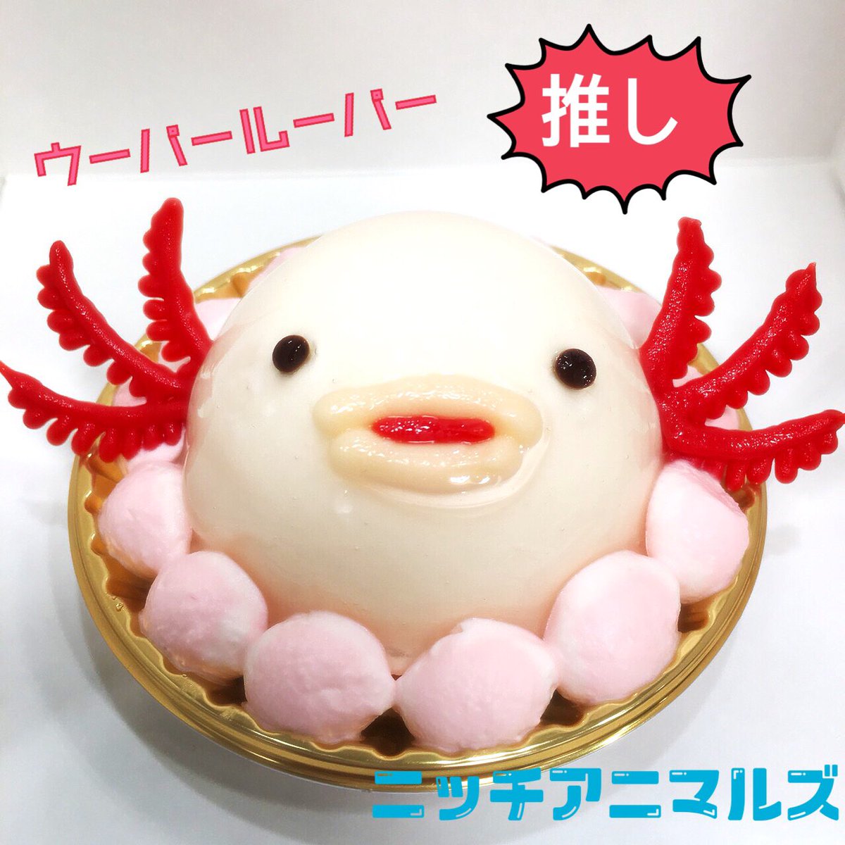 Patisserie Swallowtail Twitterissa ニッチアニマルズ 今回の推しは ウーパールーパー です ヨーグルトムースの中にグリオットチェリーのコンポート シロップ煮 をお入れしました ツヤっとした仕上がりです 東急ハンズ池袋店1fにて好評 販売中 パティスリー