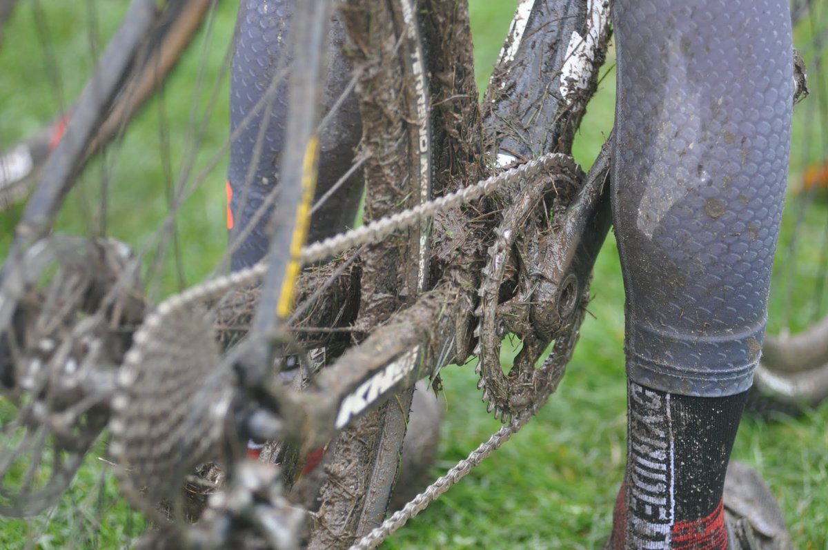 GuelphCX's tweet photo. Starting to sift through photos as they pour in. If you've got ones worth sharing, please send to jfedosov@gmail.com! https://t.co/S8npnOqv4D