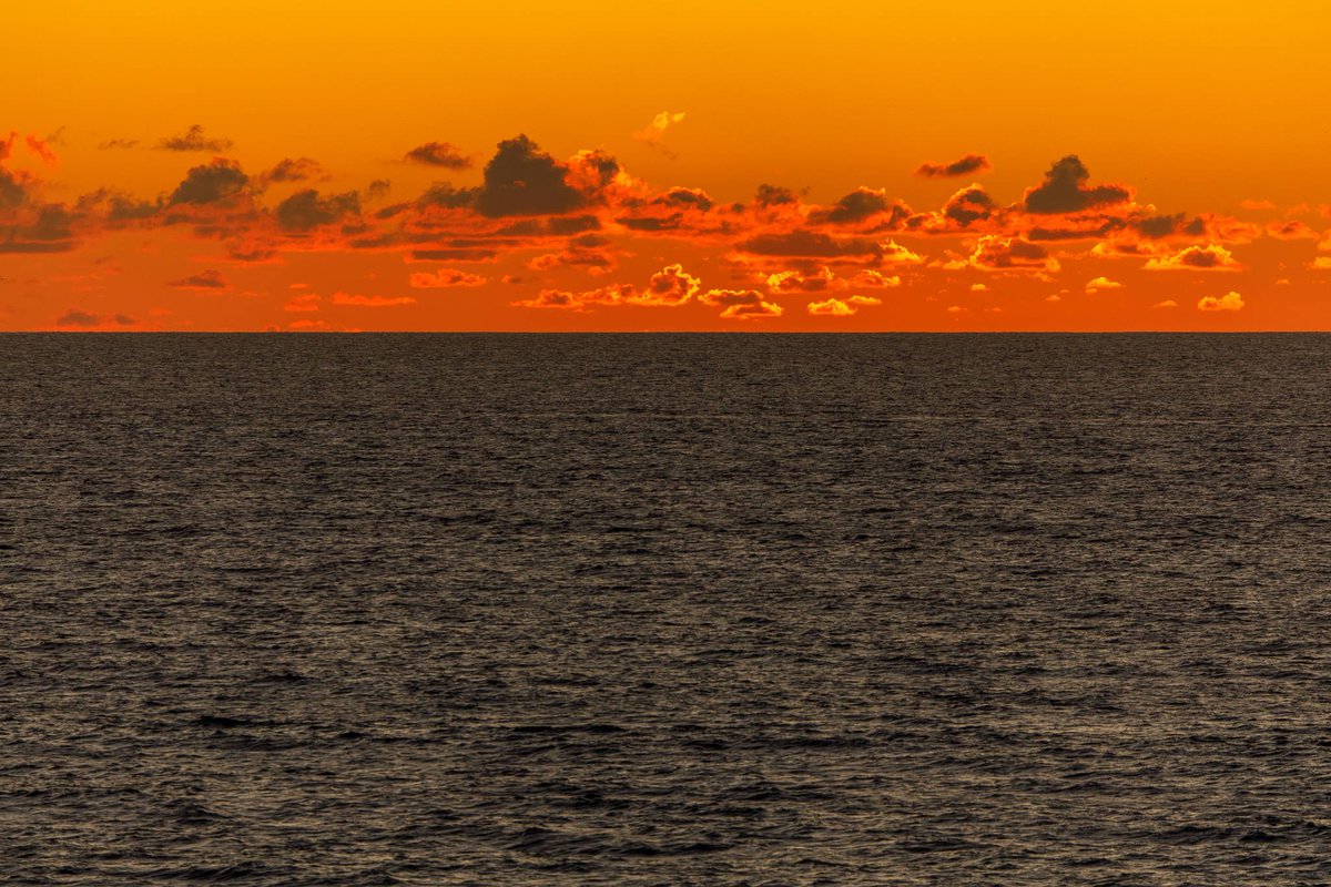 stshank's tweet image. The Half Moon Bay @RitzCarlton: an awfully nice place for a conference. #techonomy17
