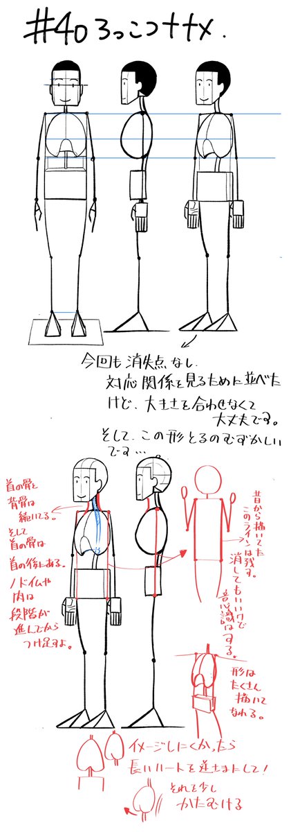 【段階的に上手くなる40日目】40日目おめでとうございます!複雑な形になるとちゃんと形が取りにくくなるよ。これとは別に同じ角度の箱と同じ角度の肋骨をそれぞれ3つ描いて同じように描けるか試してみよう。再現しやすいのは箱なんじゃないかな。 タグ→ #段階的に上手くなる 