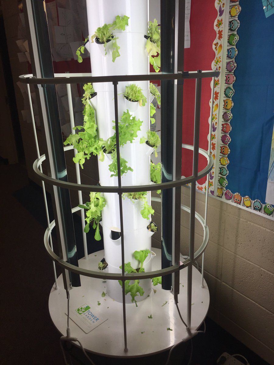 abd4mb's tweet photo. Salad Day: Before & After! Thanks for joining us for the mayhem today @Teachawatt & crew!! #science4 #saladkiller https://t.co/w8OfwtSTv4