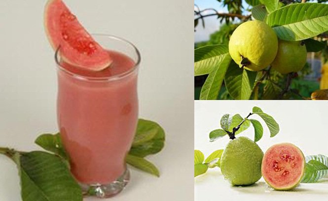 Jambu biji merah memiliki rasa enak dan khas namun juga memiliki kandungan vitamin dan gizi yang baik bagi tubuh
sjinternasional.com