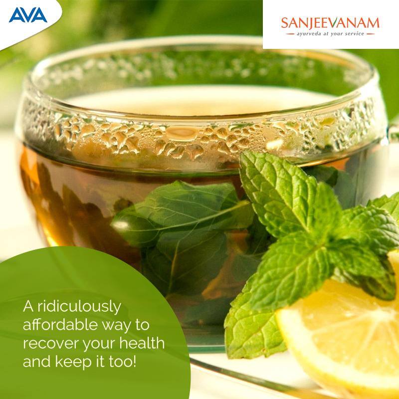 avacaregroup's tweet photo. #ThulasiCoffee #Sanjeevanam #Healthy https://t.co/YRs9U1XdrI