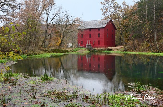 TammiElbert's tweet photo. Alley Springs near #Eminence MO. @VisitMO #onlyinmissouri @MissouriPlaces @ShowMe_Missouri #MidwestLiving #Missouri #telbertimages https://t.co/E1lCHs6GVK