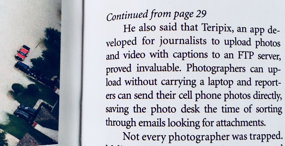 Teripix tweet media