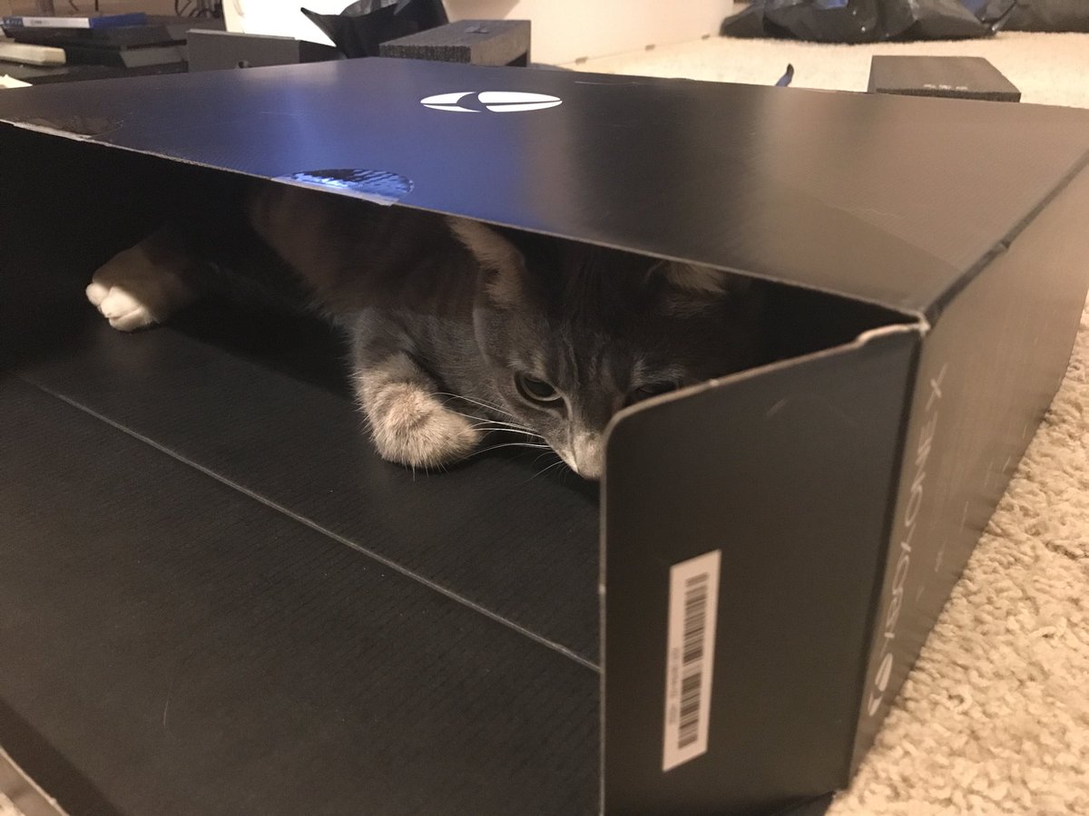 Ramblingnerds's tweet photo. #Microsoft went all out on the design of the #XboxOneX but I think they got the name wrong, should have called it #ProjectCat https://t.co/oeOEs8wZZ4