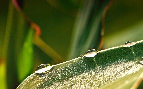 mickknutson's tweet photo. How Spring MVC Really Works: This is an in-depth… https://t.co/AJwlMVegwD #java #tutorial #rest #spring_mvc #web_application #mickknutson https://t.co/tku7fiKDVH