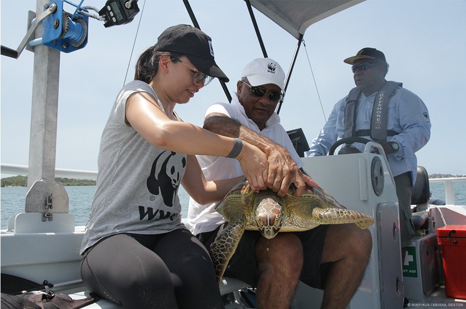 WWF_Australia's tweet photo. Leonie and Abi were out into the field this week to get up close & personal with some turtles. π’ πΈ #FieldKitFlatLay https://t.co/x52onHR6bt