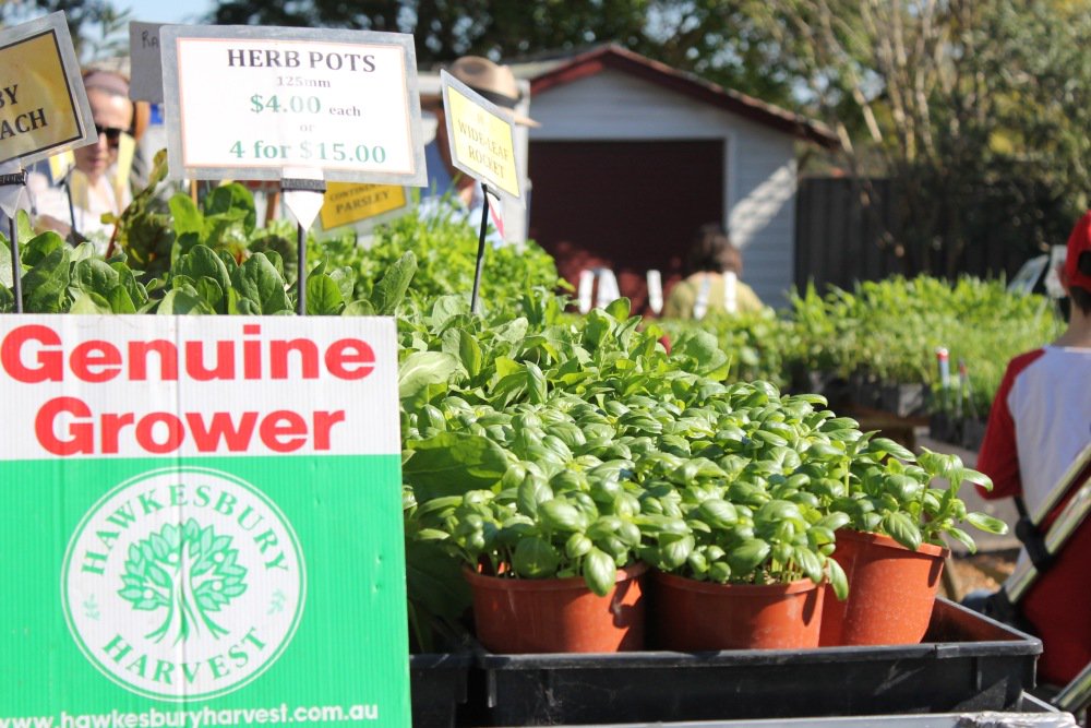 FarmGateTrail's tweet image. Follow us or check out our website or app to keep up to date with what's in season on local farms