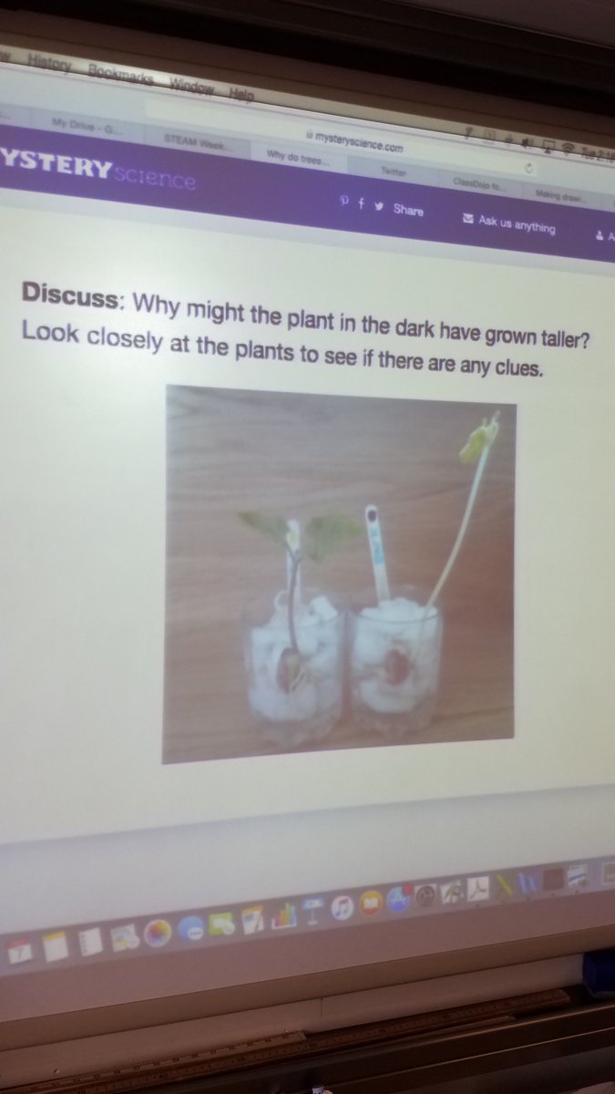 LandrumAlthea's tweet photo. #steamweek in grade 2 is all about plants and the extreme things they do to find light! #AISSTEAM https://t.co/JrKbFaY8jE