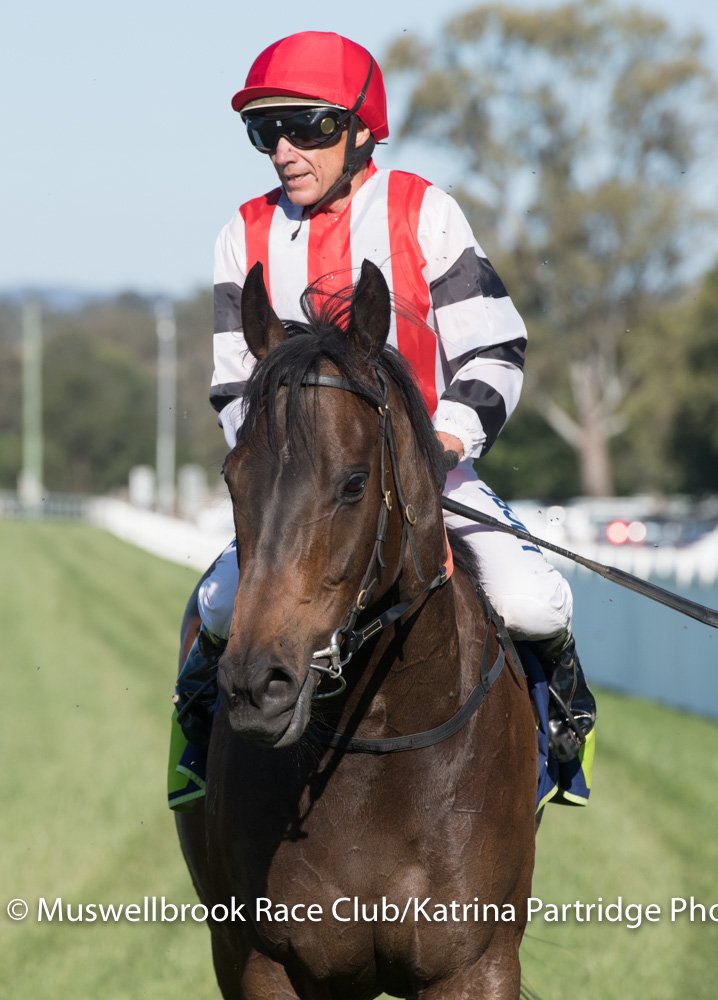 thebrookracing's tweet photo. PEL won R6 Muswellbrook Coal Company Bowman Sprint 900m #PatFarrell Riding Dble for #GregRyan RT 50:83 Last 600m 32:87 Sht Nk x 1 L https://t.co/sQk50YRBFT