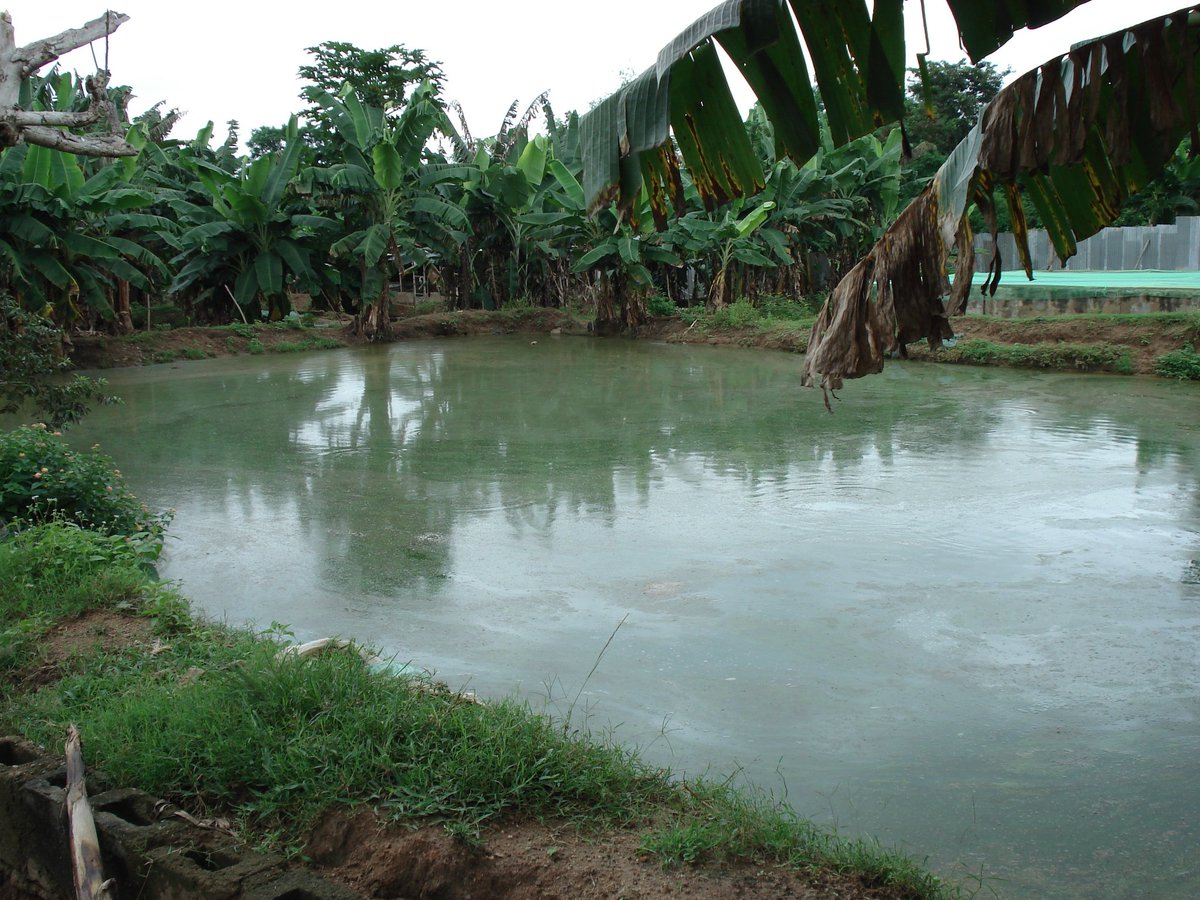 Nelson Abila, PhD tweet media