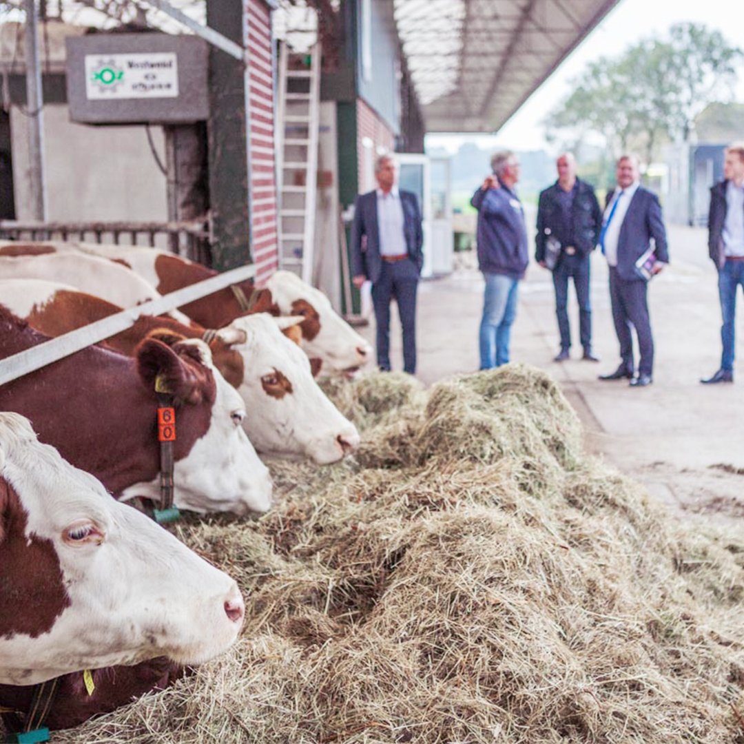 Onze derde #finalist is <a href="/HoeveBiesland/">Hoeve Biesland</a> - dé biologisch-dynamische boerderij van de Randstad! 🐄  🌿  #biologisch #finale #OPH #randstad