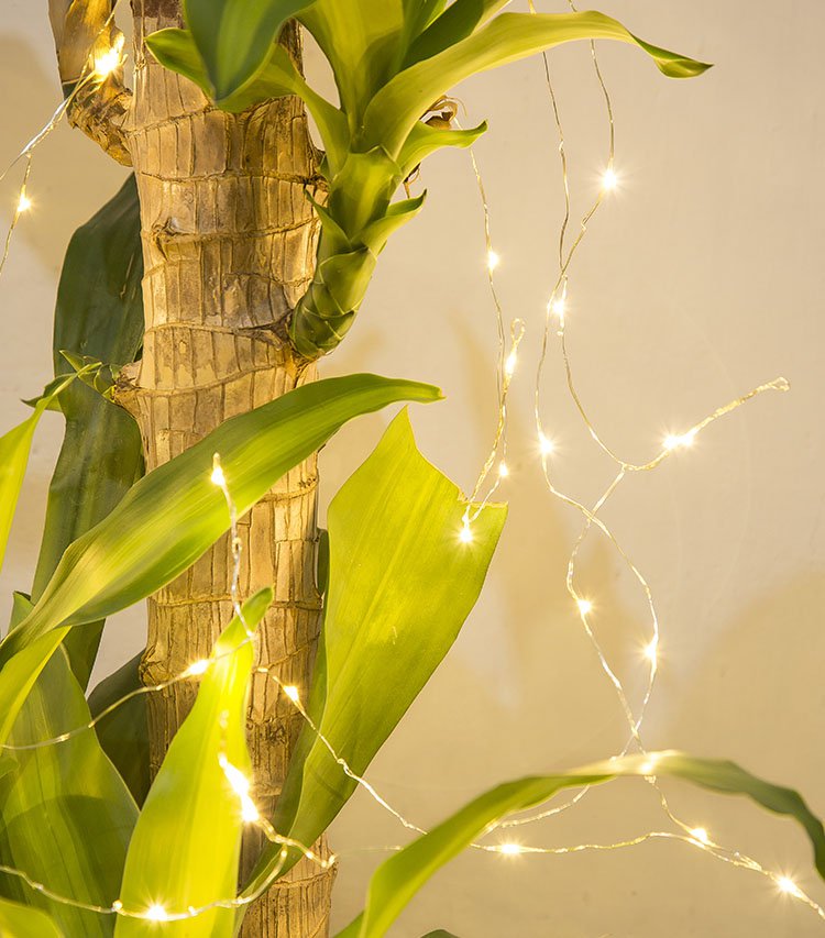 LEDthelife_EN's tweet photo. String lights for Christmas, parties and weddings, indoor and outdoor uses. https://t.co/Pcjr7FGmvt