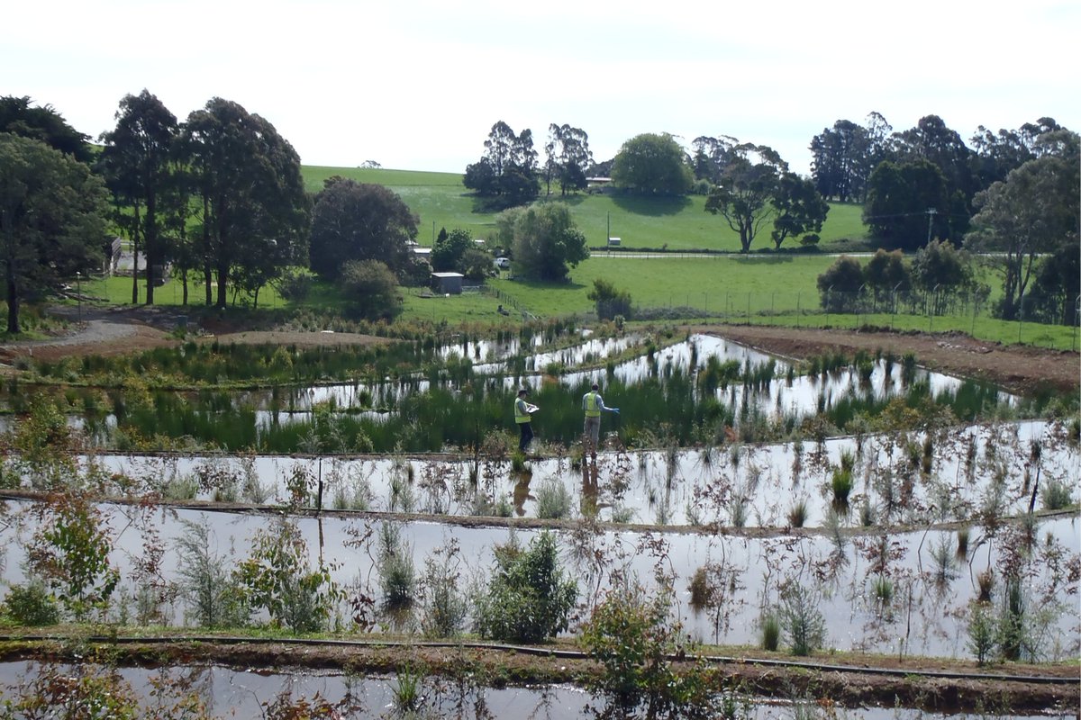 Syrinx Environmental tweet media