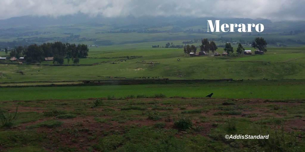 addisstandard's tweet photo. G.AM! #Meraro is a beautiful small village in central #Ethiopia, some 240 km S.E of #AddisAbeba; its known for its honey & wheat production. https://t.co/9Bv3d7jCG5