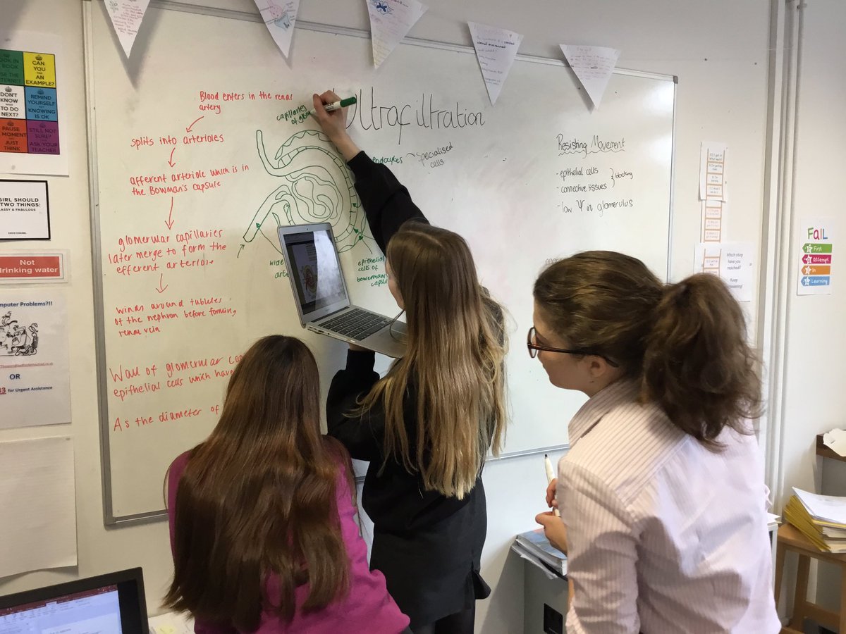 BGSBiologyDept's tweet photo. U6 th revising ultrafiltration and selective reabsorption in the nephron. Then modelling the countercurrent mechanism. #kidneys #loopofhenle https://t.co/JEg2YbAZmX