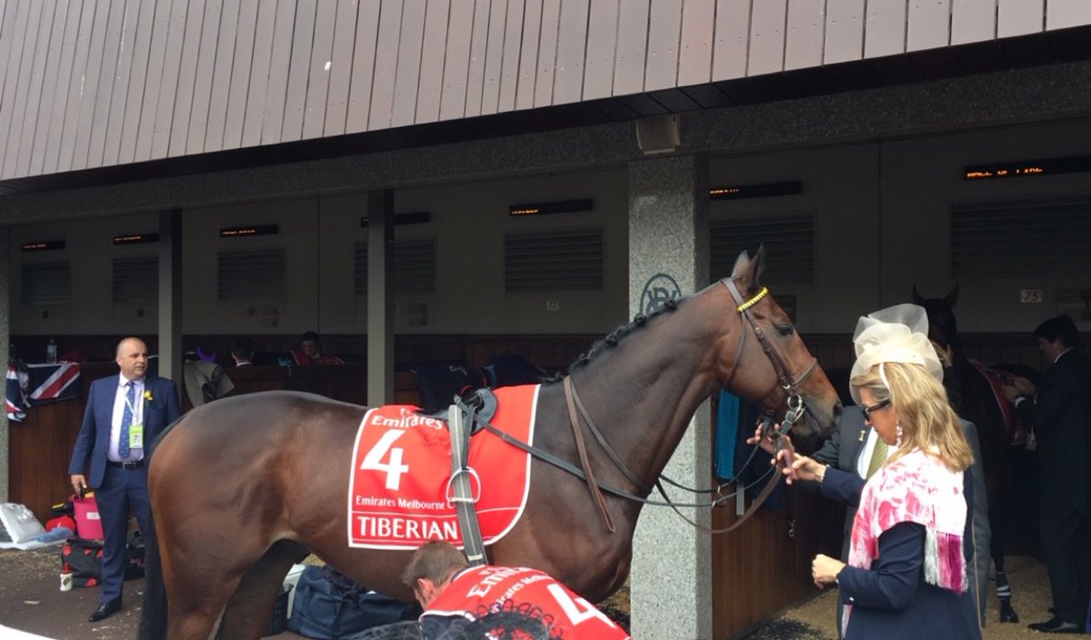 Marie Rohaut (@marie_rohaut) on Twitter photo Amazing day spent st the #MelbourneCup today, but I'm exhausted now ! Congrats <a href="/ACouetil/">Alain Couetil</a> and the whole team for the amazing work !! Amazing day spent st the #MelbourneCup today, but I'm exhausted now ! Congrats <a href="/ACouetil/">Alain Couetil</a> and the whole team for the amazing work !!