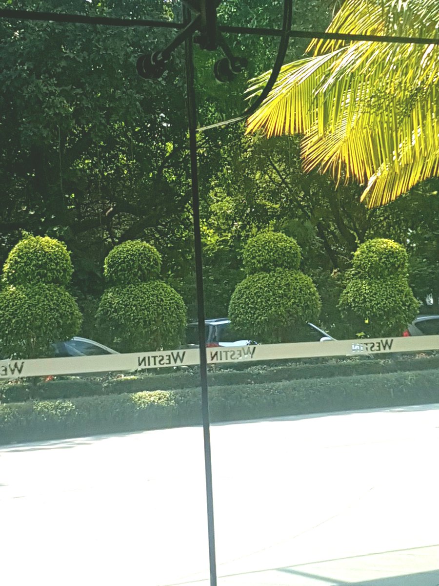 NinadChhaya's tweet photo. Is it a hedge or an army of #BB8s disguised as a hedge waiting to attack? 😊😉 #StarWars #AttackOfTheDroids #gardening #gardendecor #landscaping https://t.co/h7YJrOhwQY