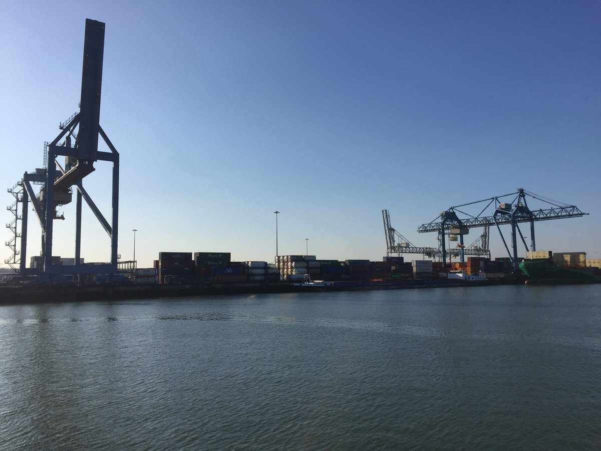 Dorevja Shipping tweet media