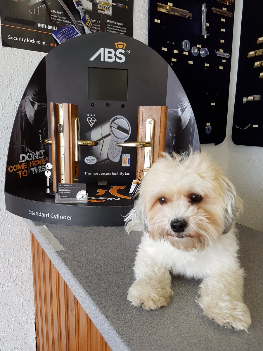 CTLocksmithsLtd's tweet photo. Don't leave your #dog to #protect your #home.  #Upgrade your #locks #snap #secure #cylinders available. #Deadlock #Sashlock. T.0121 783 0442 https://t.co/qx9P1PXmqM