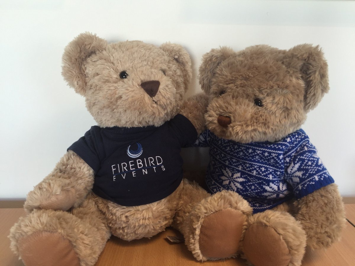 FirebirdEvents's tweet photo. 🐻 @Firebird_Ted LOVES #hugabearday #FreeHug #eventprofs https://t.co/AnZKZZbTpC