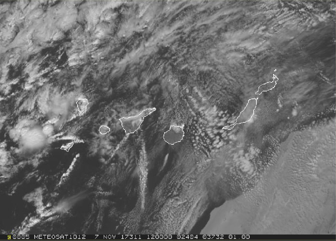 AEMET Canarias tweet media