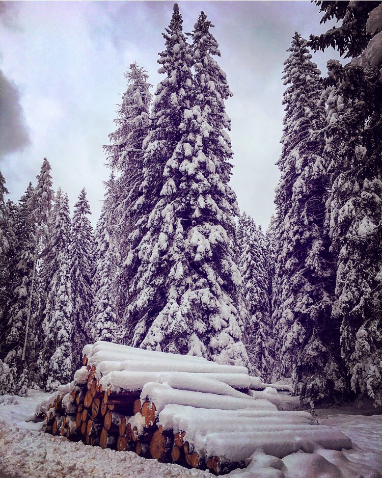 Francesca Carminati Luoghiincantati Paesaggi Bellezza Natura Neve Soffice Rilassante Meditativa Sudtirol Passomontecroce Altoadige Letissnow T Co H2prqv4wam