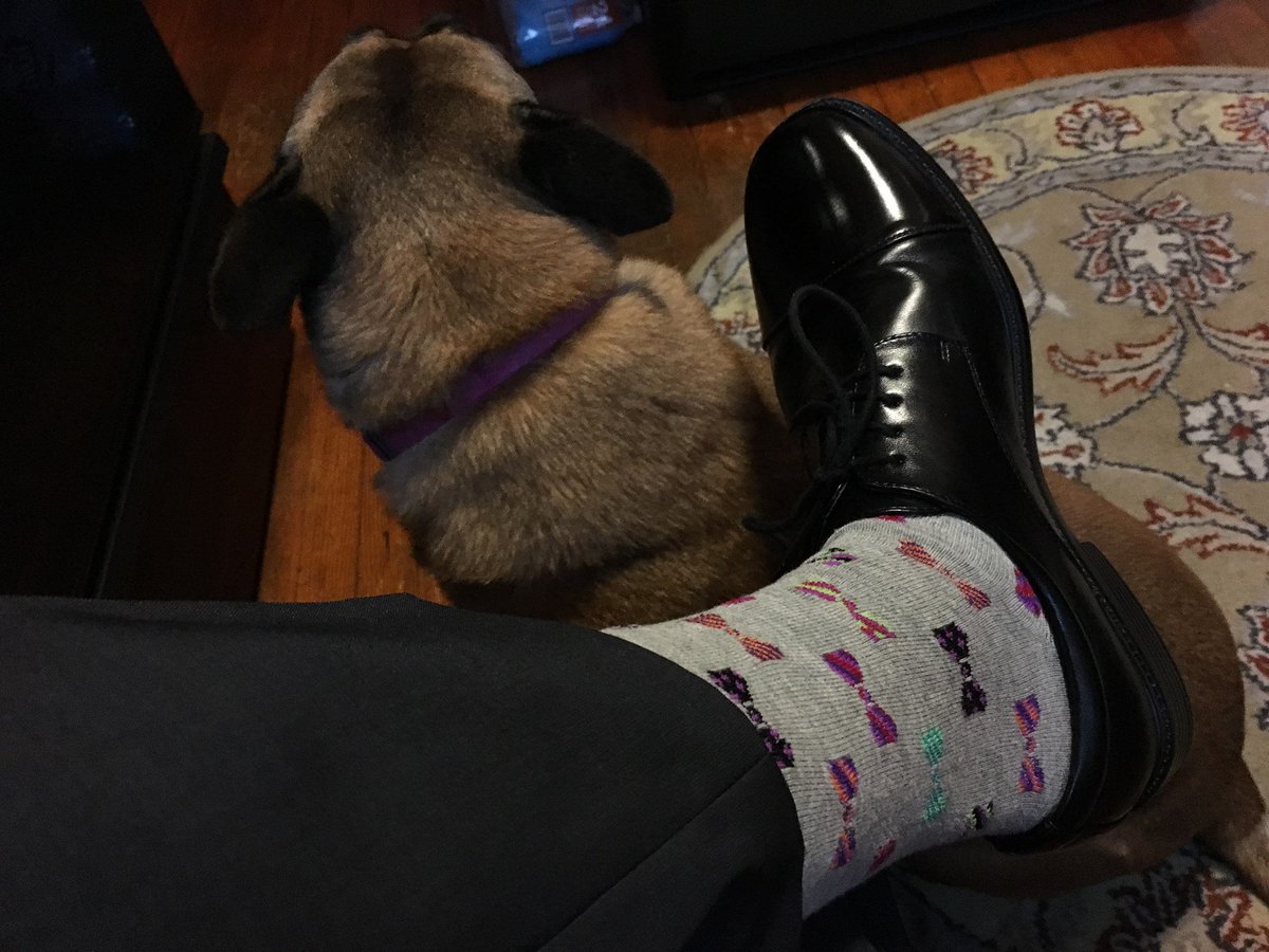 CichonForClerk's tweet photo. Lucky bow tie socks are in place. Let's go win this thing! Vote the top row- then flip that ballot over and vote NO (on Prop 1, yes on 2&amp;3) https://t.co/chaQxzrger