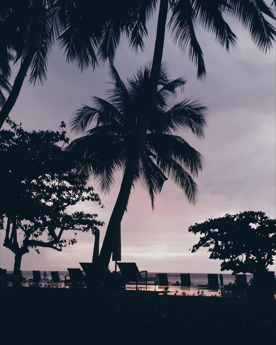Daintycurlsblog's tweet photo. sur le blog , je vous raconte mon voyage à Bali✨ https://t.co/zpHYvSC4bo
vous m'aviez prévenu c'était ouf https://t.co/mV44jcyUbV